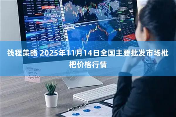 钱程策略 2025年11月14日全国主要批发市场枇杷价格行情