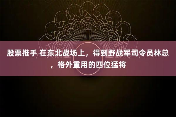 股票推手 在东北战场上，得到野战军司令员林总，格外重用的四位猛将